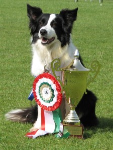 Kety s pohárem za 3:místo v hodnocení týmů na MS obedience 2013