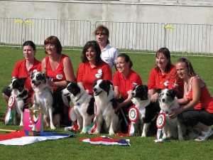 Česká reprezentace na MS obedience 2013, Maďarsko, 3.místo v hodnocení týmů!